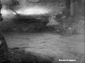 Click image for larger version

Name:	sherman-panther7.jpg
Views:	244
Size:	34.7 КБ
ID:	523869