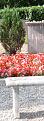 Click image for larger version

Name:	tombe-chaplin_03.jpg
Views:	74
Size:	113.3 КБ
ID:	524359