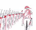 Click image for larger version

Name:	roman march.jpg
Views:	326
Size:	166.7 КБ
ID:	525423