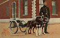 Click image for larger version

Name:	Dogs05.jpg
Views:	303
Size:	38.5 КБ
ID:	529271