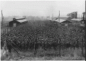 Click image for larger version

Name:	KriegsgefangenlageranderRuhr.gif
Views:	399
Size:	77.4 КБ
ID:	529566