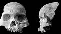 Click image for larger version

Name:	Череп-300x168.jpg
Views:	129
Size:	13.0 КБ
ID:	530579