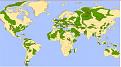 Click image for larger version

Name:	Ù ÃÀÇ.jpg
Views:	86
Size:	259.1 КБ
ID:	540506