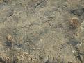 Click image for larger version

Name:	IMG_6459.jpg
Views:	292
Size:	54.7 КБ
ID:	557680